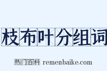 枝布叶分组词是什么意思的图片
